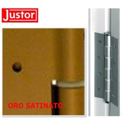 CERNIERA JUSTOR CHIUDIPORTA MOLLA PORTA LEGNO PORTE ALLUMINIO AZIONE SEMPLICE - ORO SATINATO