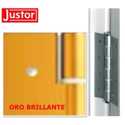 CERNIERA JUSTOR CHIUDIPORTA MOLLA PORTA LEGNO PORTE ALLUMINIO AZIONE SEMPLICE - BRONZO