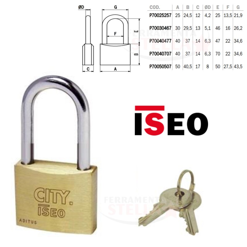 LUCCHETTO LUCCHETTINO AD ARCO OTTONE MM 30 CANCELLO ARMADIETTO CATENA ISEO