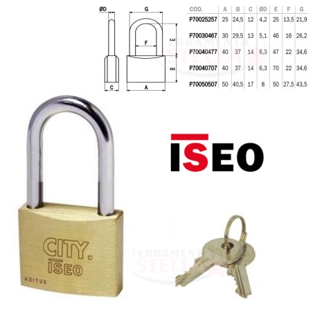 LUCCHETTO LUCCHETTINO AD ARCO OTTONE MM 30 CANCELLO ARMADIETTO CATENA ISEO