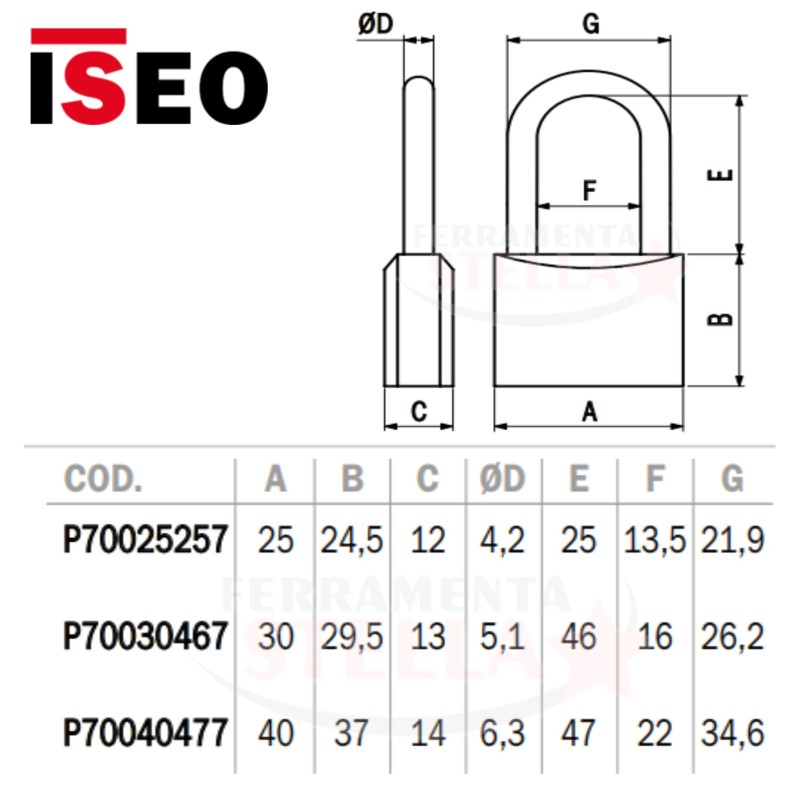 LUCCHETTO LUCCHETTINO AD ARCO OTTONE MM 30 CANCELLO ARMADIETTO CATENA ISEO