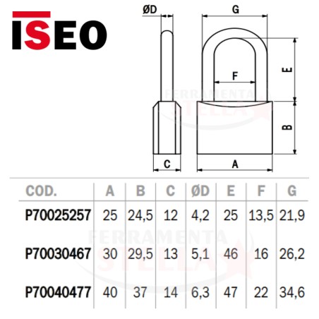 LUCCHETTO LUCCHETTINO AD ARCO OTTONE MM 30 CANCELLO ARMADIETTO CATENA ISEO