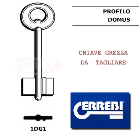 1DG1