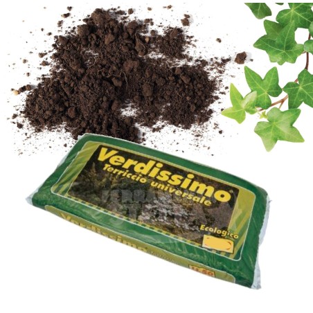 TERRICCIO UNIVERSALE 20 LITRI UNIVERSALE TERRAMADRE TERRIFLORA LT 20