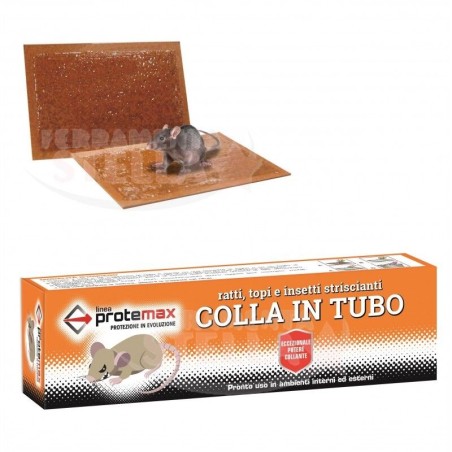 Esca veleno x distruggere topi in colla adesivo | ferramentastella.it