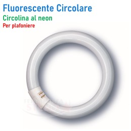 FLUORESCENTE CIRCOLARE...