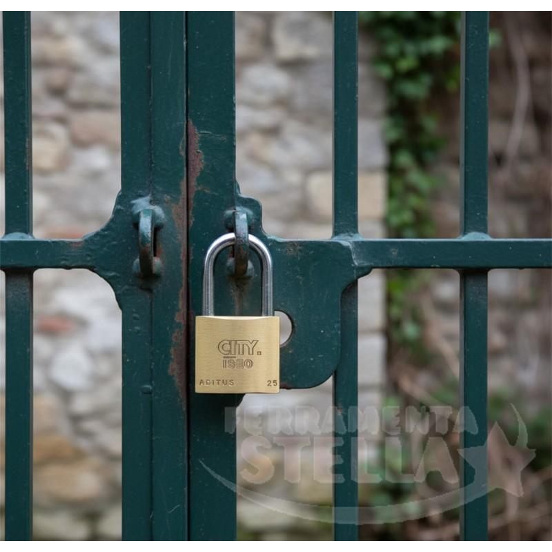 Lucchetto arco lungo ottone temperato 2 chiavi | ferramentastella.it