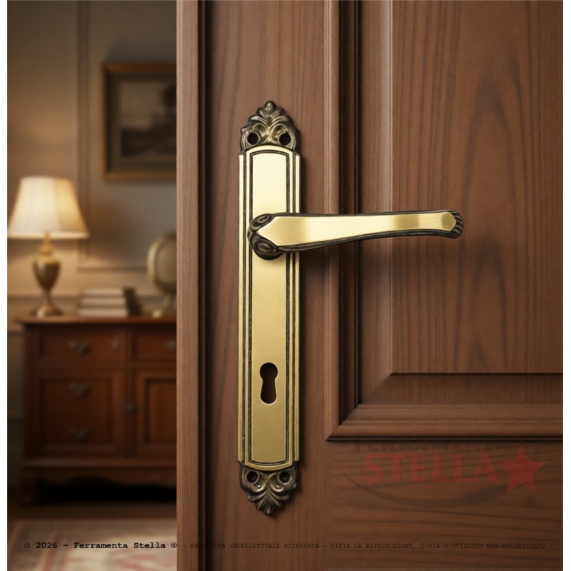 Coppia maniglie maniglia con placca porta bronzo | ferramentastella.it