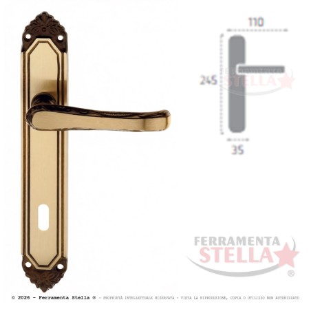 Coppia maniglie maniglia con placca porta bronzo | ferramentastella.it