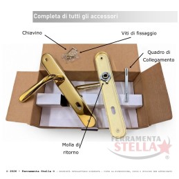 Maniglia con placca foro chiave oro lucido 90 | ferramentastella.it 2