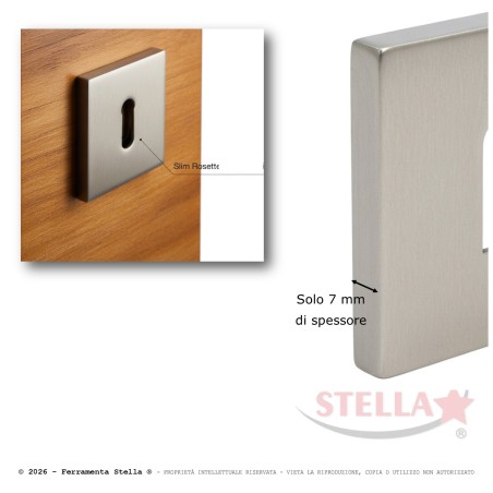 Coppia Maniglie Rosetta Slim  50x50 Satinato | ferramentastella.com