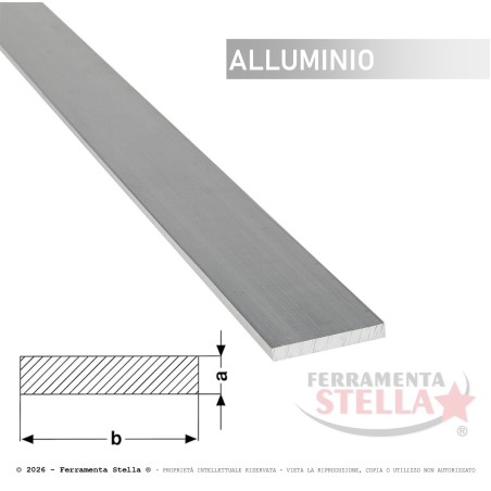 Profilo Alluminio Piatto Argento 20x2 mm H.200 | ferramentastella.it