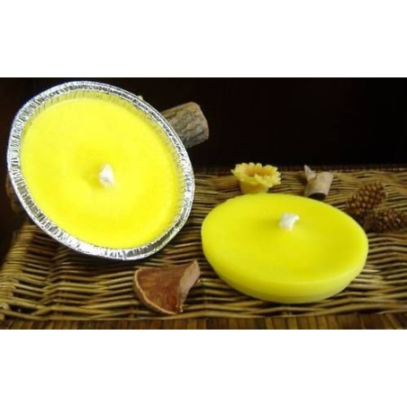 Citronella cero in vaschetta alluminio