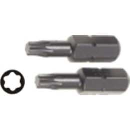 Inserti per viti Torx