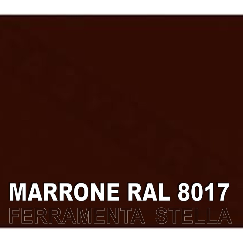 SMALTO PITTURA BOMBOLETTA VERNICE SPRAY ACRILICO 100% VARI COLORE MARRONE 8017 RAL