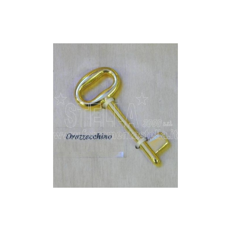 CHIAVE VERGINE DUPLICABILE NEUTRA PORTA PORTE INTERNE MANIGLIA COLOMBO ORO OTTON