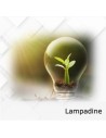 Lampadine