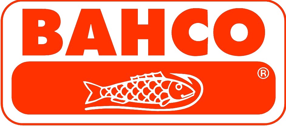 Bacho