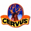 Cervus pennellificio